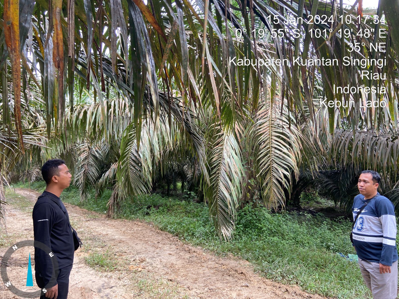 Respon Cepat Polsek Singingi Tentang Adanya Alat Berat Yang Digunakan Untuk PETI di Desa Kebun Lado